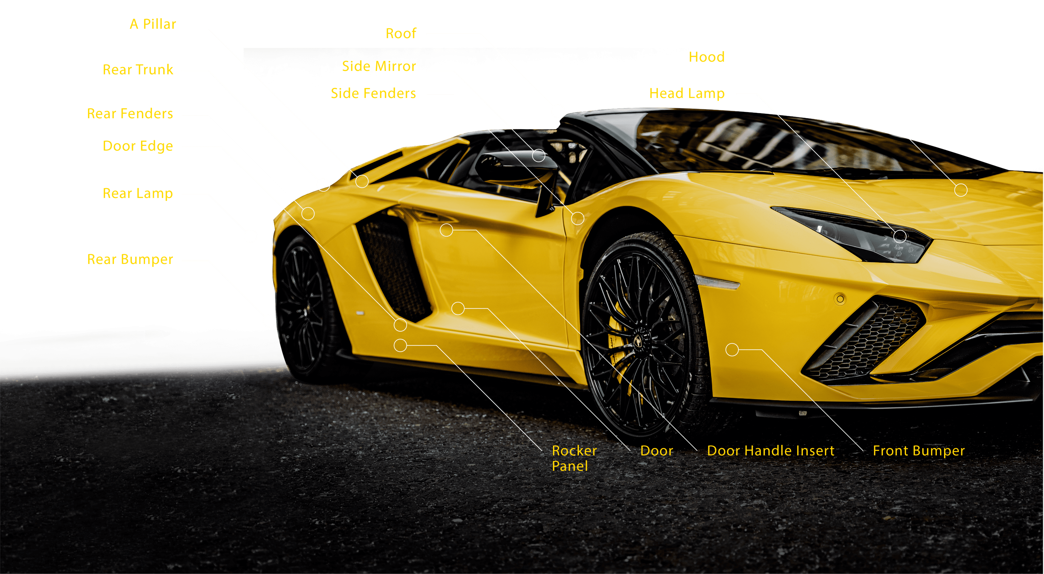 RhinePro PPF Comparison Table Ara Damansara