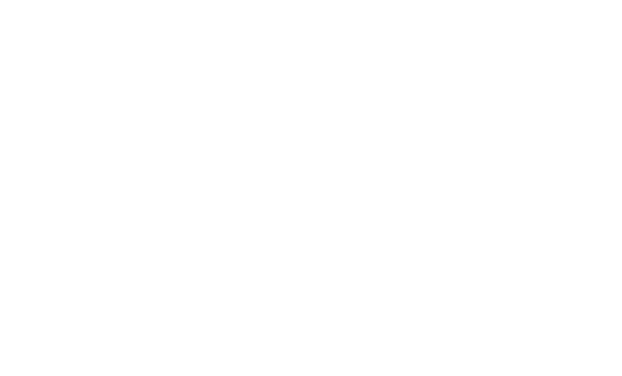 RhinePro Black Beauty Window Film Mount Austin