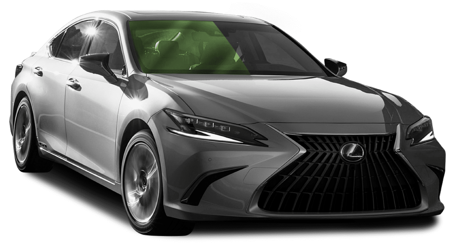 RhinePro Black Tone Window Film Mount Austin