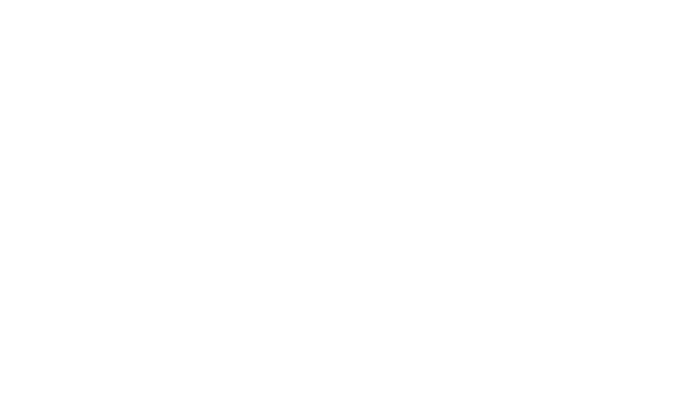 RhinePro Black Classic Window Film Rawang