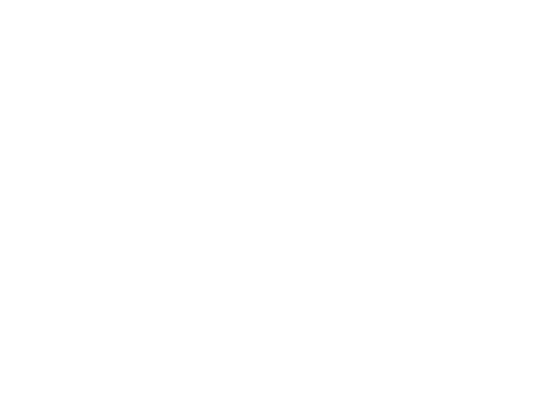 RhinePro Black Tone Window Film Seremban